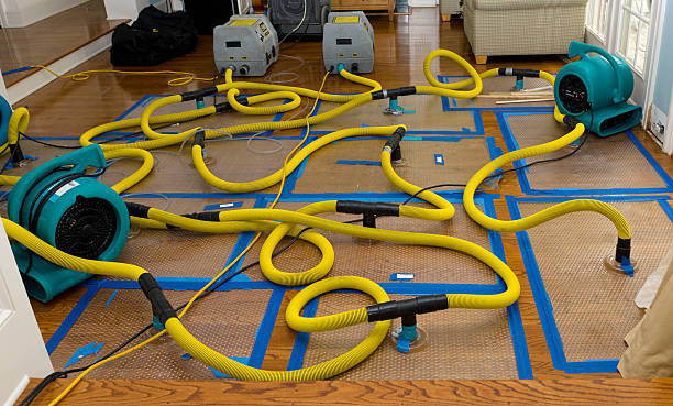 Professional Flood Damage Restoration technician working in Seal Cove, ME